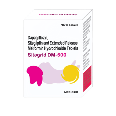 Sitagrid DM-500